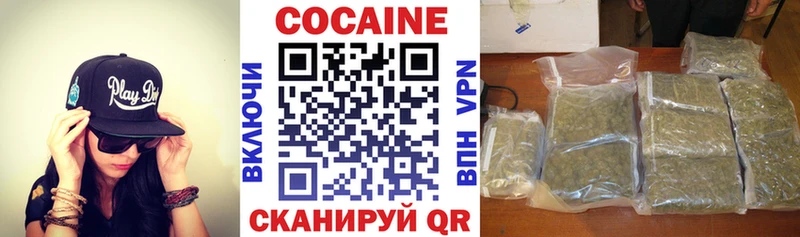 MEGA ссылка Княгинино Cocaine Fish Scale