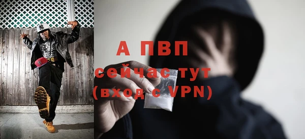 амф Беломорск
