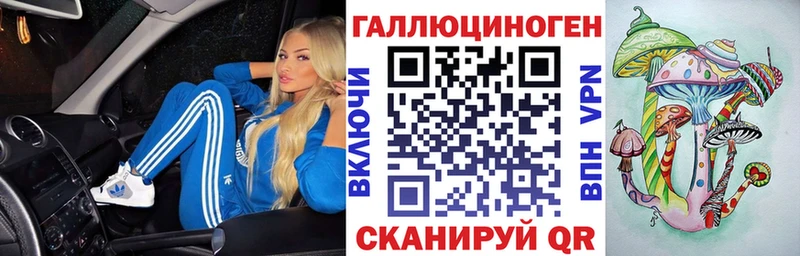 Галлюциногенные грибы Psilocybe  где продают   Княгинино 